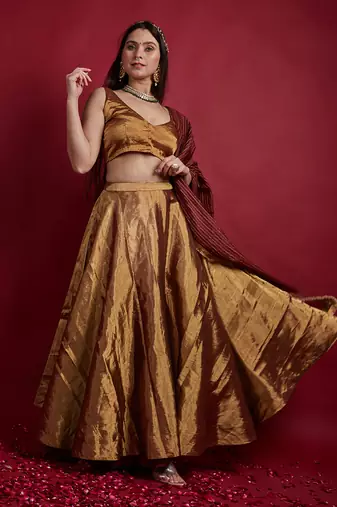 Gold Zari Lehanga Set