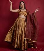 Gold Zari Lehanga Set With Dupatta