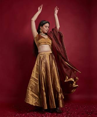 Gold Zari Lehanga Set With Dupatta 2