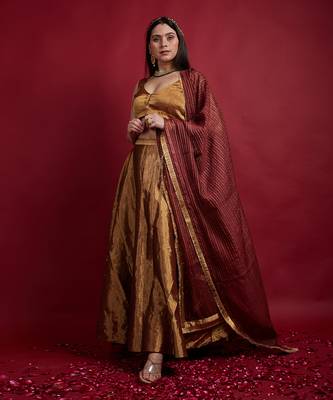 Gold Zari Lehanga Set With Dupatta 3