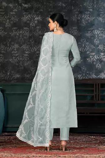 Gray Colour Organza Fabric Fancy Printed Festive Dress