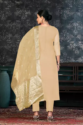 Brown Colour Organza Fabric Fancy Printed Festive Dress