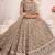 Brown Embroidery Work Lehenga Choli