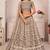 Brown Embroidery Work Lehenga Choli