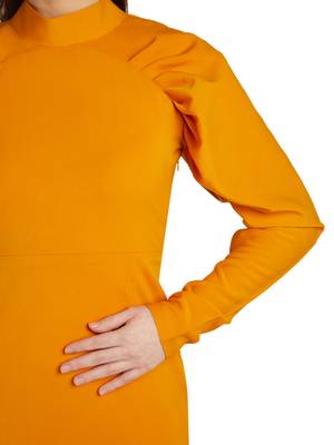 Pleated sleeve dress 2
