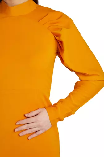 Pleated sleeve dress