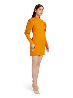 Pleated sleeve dress 1