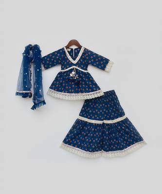 Blue Cotton Printed Sharara Set  3