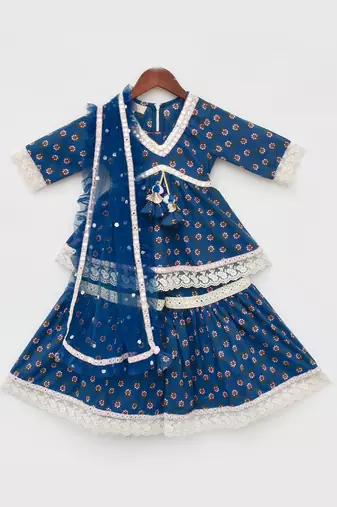 Blue Cotton Printed Sharara Set 