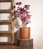 Copper Glow Planter