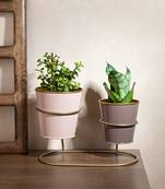 Flamingo Flora Planter