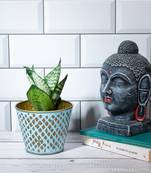 Turquoise Tranquility Planter