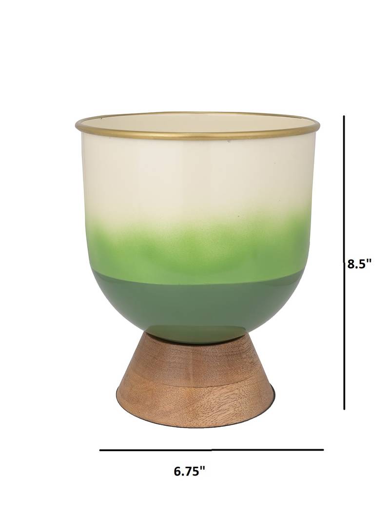 Verdant Oasis Planter
