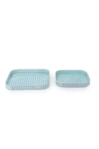 Marine Majesty Platter cum Organizer