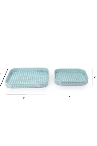 Marine Majesty Platter cum Organizer