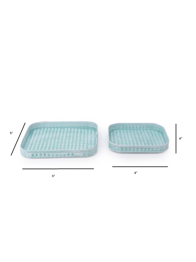 Marine Majesty Platter cum Organizer