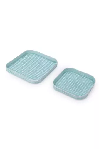 Marine Majesty Platter cum Organizer