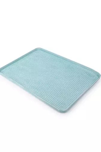 Seaside Blue Platter cum Organizer