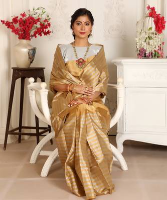 Gold zari tissue handwoven saree set 3