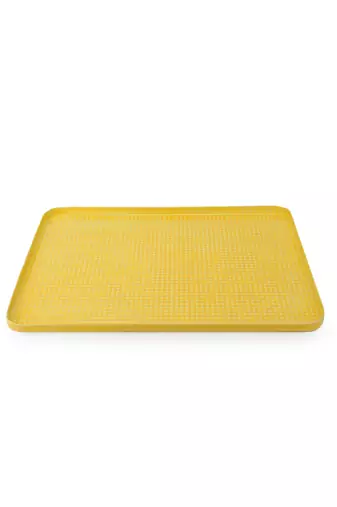 Sunny Side Platter cum Organizer