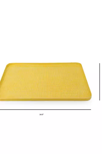 Sunny Side Platter cum Organizer