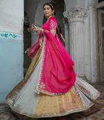 Gold & Silver Cancan Lehanga Set