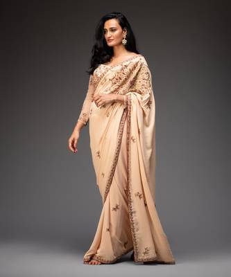 Nude embroidered saree set 1