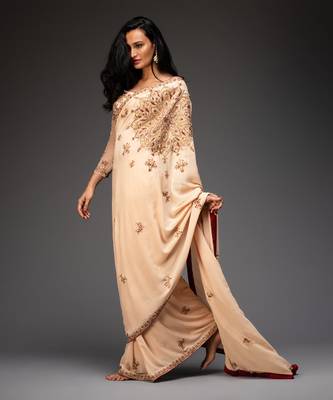 Nude embroidered saree set 2