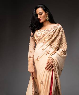 Nude embroidered saree set 3