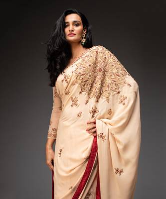 Nude embroidered saree set 4