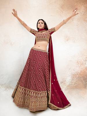 Rasberry Red  Embroidered Semi Stitched Lehenga and Unstitched Blouse With Dupatta 2