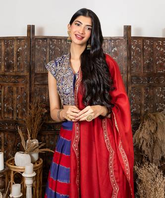 Royal Blue & Red Embroidered Lehenga Set 3