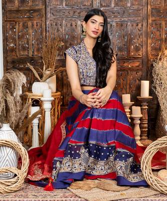 Royal Blue & Red Embroidered Lehenga Set 4