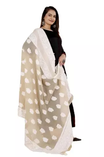 DesiButik Silk Dupatta with Zari Work 36*102 inches