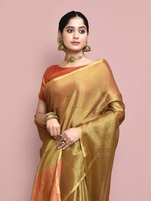 Elora tissue linen plain chanderi designer saree for women (brown) 3