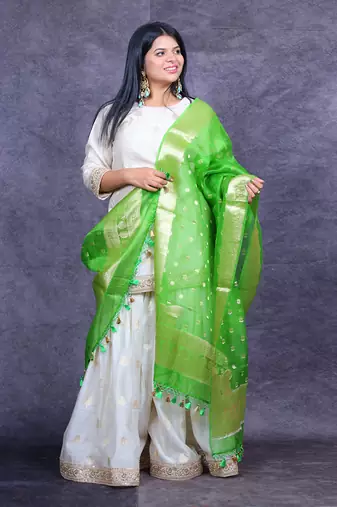 Ivory and green banarasi sharara set