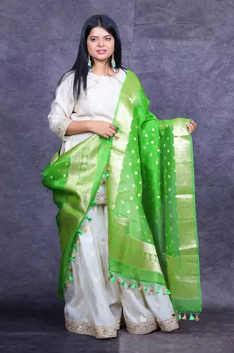 Ivory and green banarasi sharara set