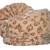 Zaridhar || Premium Collection Velvet  Men Traditional Pagdi/ Turban for Groom with SAFA ( DULHA) II Pack of 1