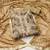 Kimisha women's light brown organza gota patti & hand work dress material with inner