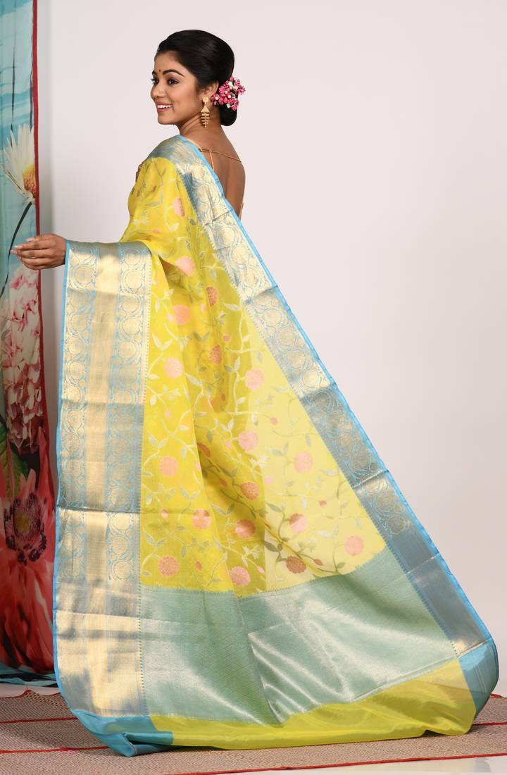 VANARASI PATOLA SAREE