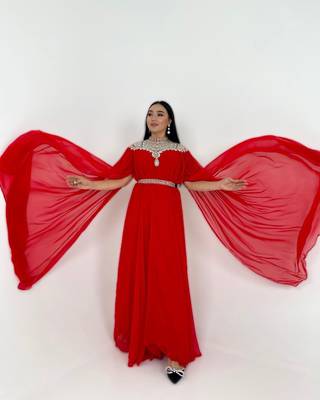 Red Zari Stone Work Georgette Islamic Style Beads Embedded Partywear Kaftan Long Gown Evening wear Dubai kaftan 4