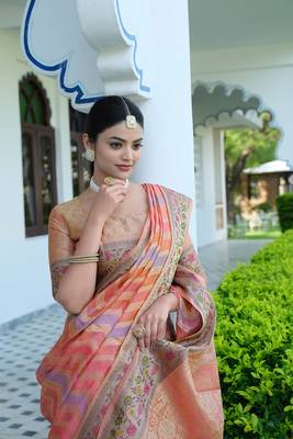 Pure Organza Saree with 7-Color Yarn & Zari Weaving: A Luxurious Blend of Tradition & Elegance 1