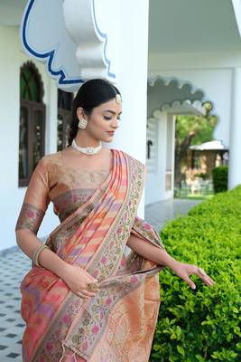 Pure Organza Saree with 7-Color Yarn & Zari Weaving: A Luxurious Blend of Tradition & Elegance 2