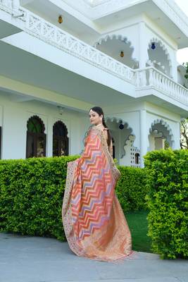 Pure Organza Saree with 7-Color Yarn & Zari Weaving: A Luxurious Blend of Tradition & Elegance 4