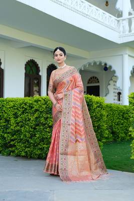 Pure Organza Saree with 7-Color Yarn & Zari Weaving: A Luxurious Blend of Tradition & Elegance 5