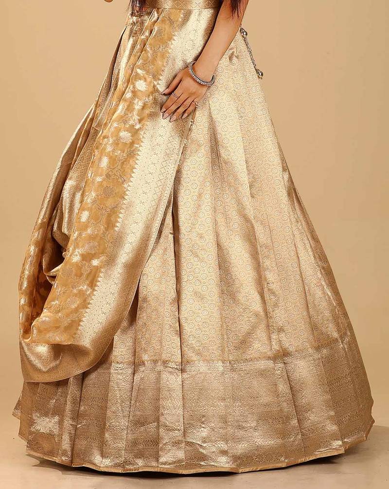 Chiku Kanchipuram Silk Half Saree with Zari Woven