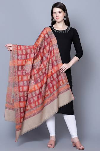 Women Kashmiri  Jaal Fine wool Beige Shawl