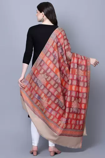 Women Kashmiri  Jaal Fine wool Beige Shawl