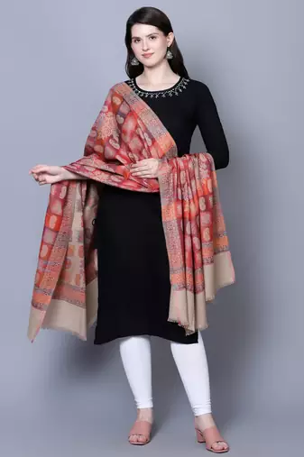 Women Kashmiri  Jaal Fine wool Beige Shawl