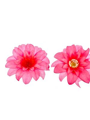 Two pink floral hair accessory 3